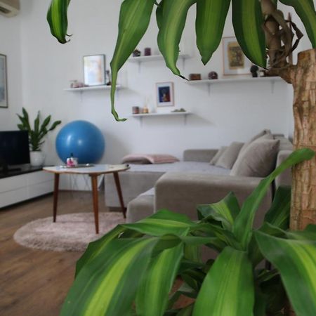 Cosy Apartment - 10 Minutes Walk To Sea Zadar Exteriör bild